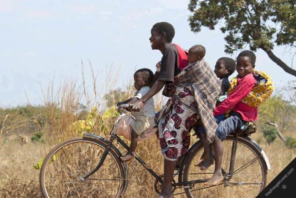 Discipleship is the process of caring for young believers cheerfully.